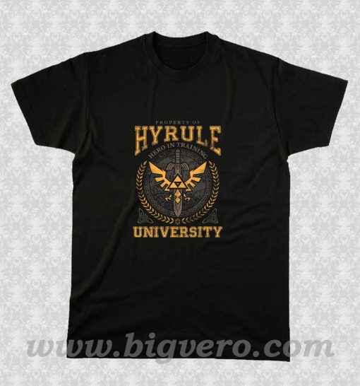 Hyrule University Hero Training T Shirt