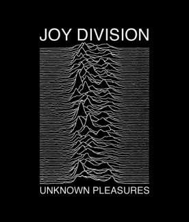 Joy Division Mathematics