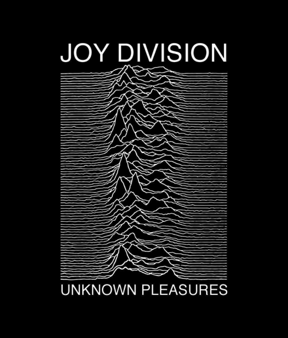 Joy Division Mathematics