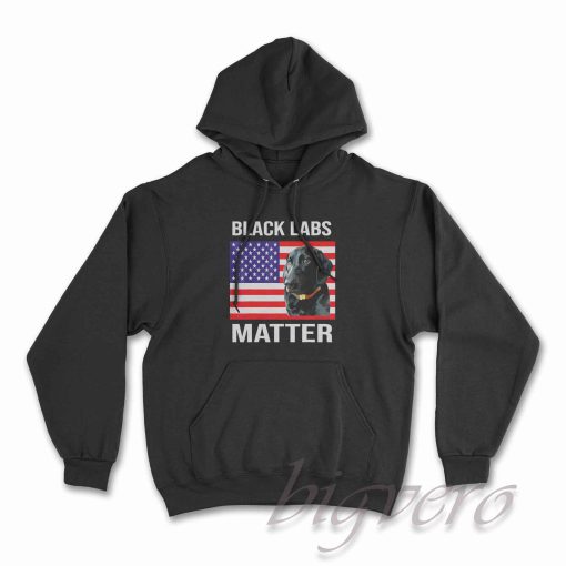 Veterans Day Black Labs Lives Matter Hoodie